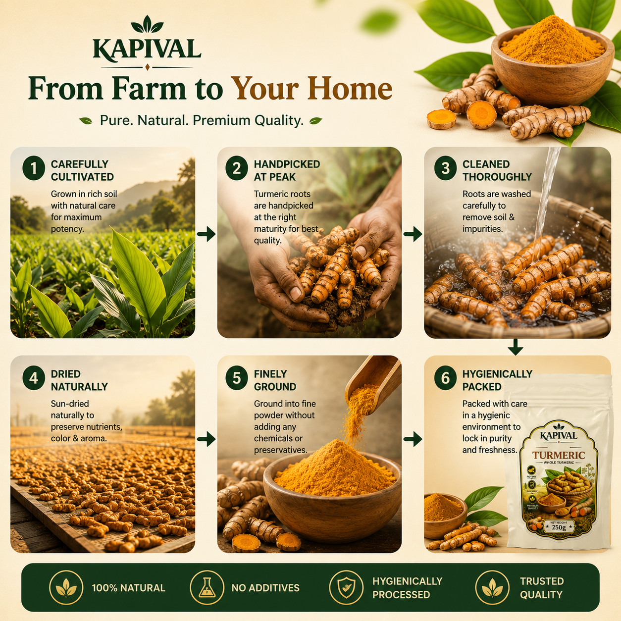 Kapival Whole Turmeric (Sampurna Haldi) 250g | Premium Quality Whole Haldi | Pure & Natural Turmeric Roots